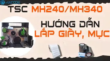 Lắp giấy mực TSC MH240/MH340/MH640