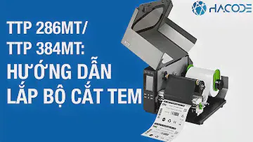 Hướng dẫn lắp bộ cắt tem máy in TSC TTP 286MT - 384MT.
